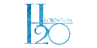 H2O